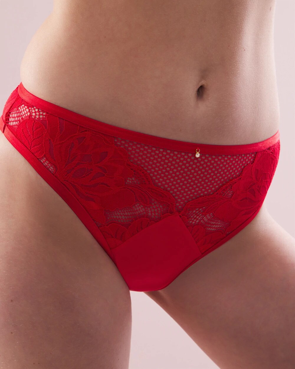 French-Cut Brief Panty with Mesh and Lace - Soma